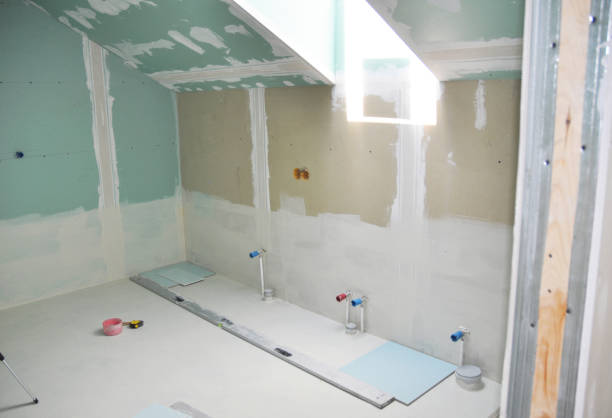 Best Residential Mold Inspection & Testing  in Montrose, MN