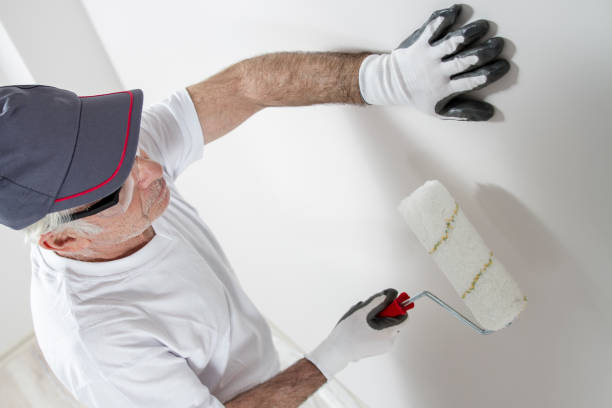 Environmental Consulting for Mold Prevention in Montrose, MN