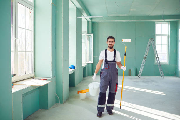 Best Black Mold Removal  in Montrose, MN