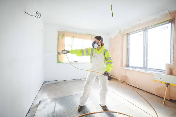Best Mold Prevention Services  in Montrose, MN