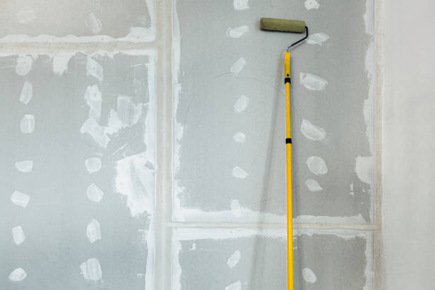 Trusted Montrose, MN Mold Removal Experts