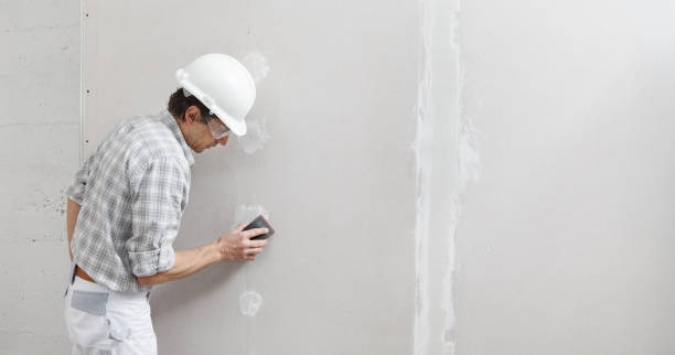 Best Crawl Space Mold Remediation  in Montrose, MN