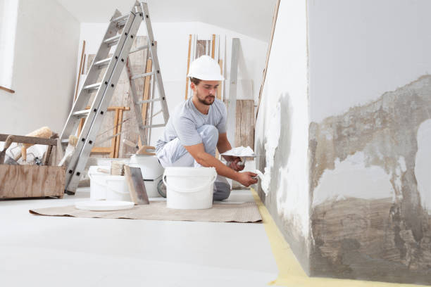 Best Real Estate Mold Inspection  in Montrose, MN