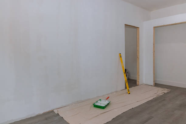 Best Forensic Mold Investigation  in Montrose, MN
