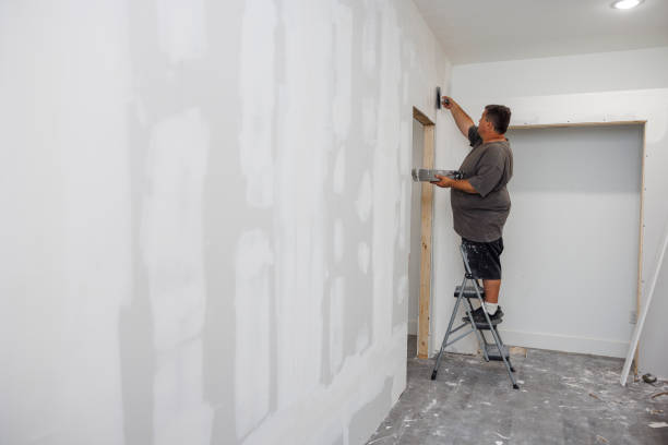 Best Mold Remediation for Healthcare Facilities  in Montrose, MN