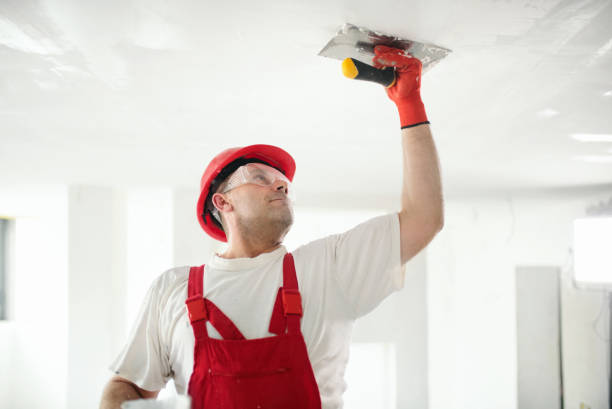 Best Attic Mold Removal  in Montrose, MN