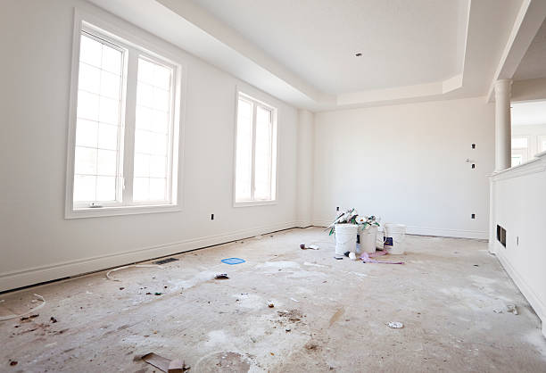 Best Mold-Related Health Consultation  in Montrose, MN